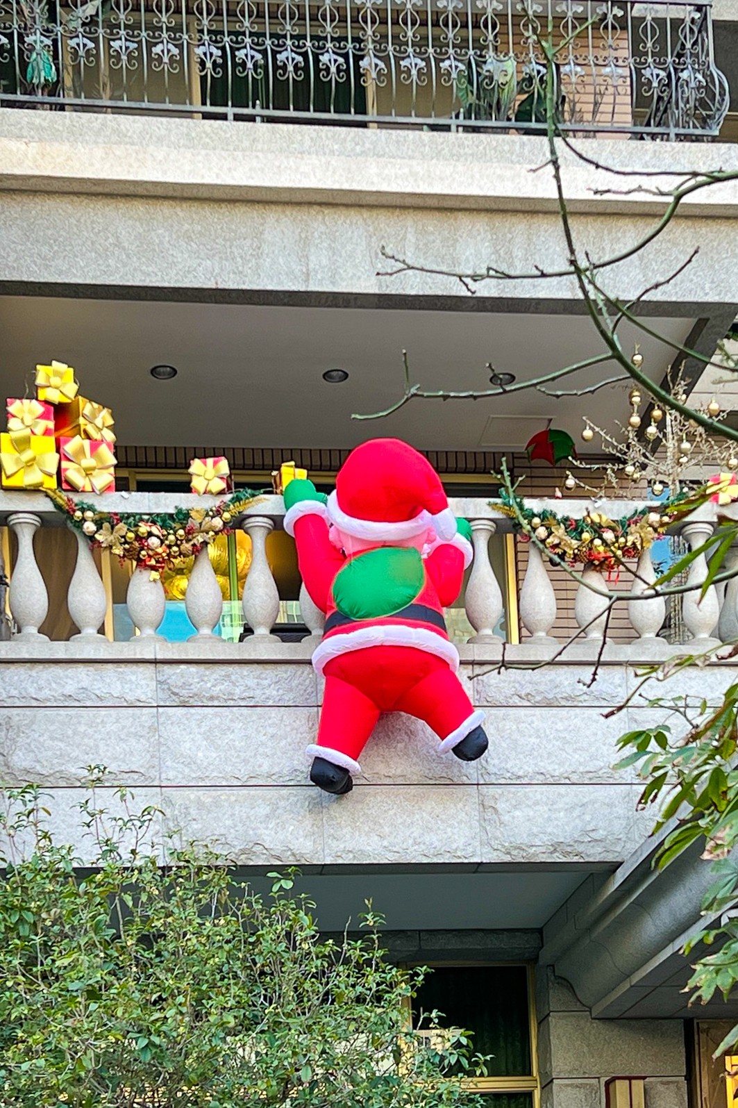 409339523 10224060156440395 4349236697069588631 n