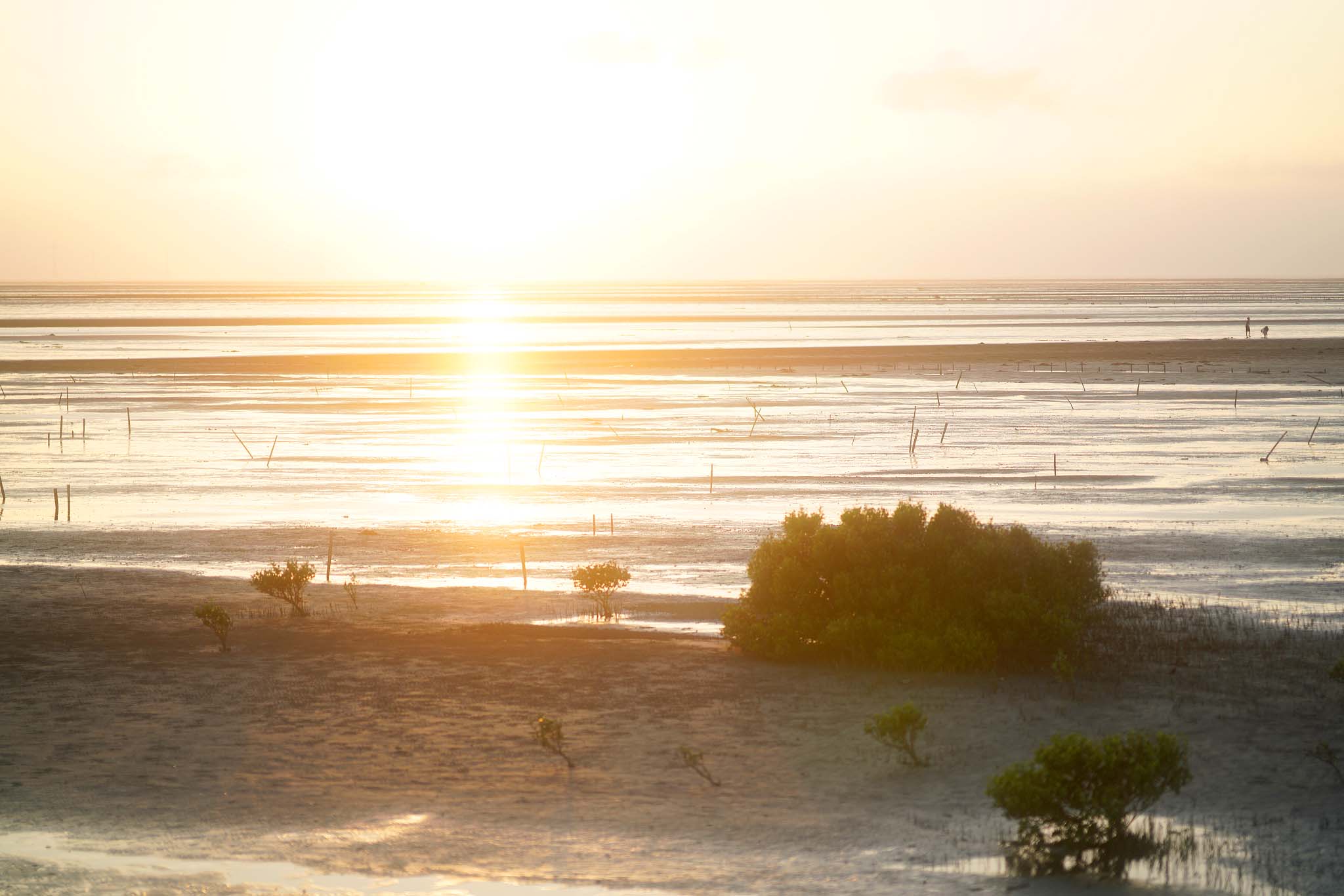 彰化芳苑-漢寶濕地