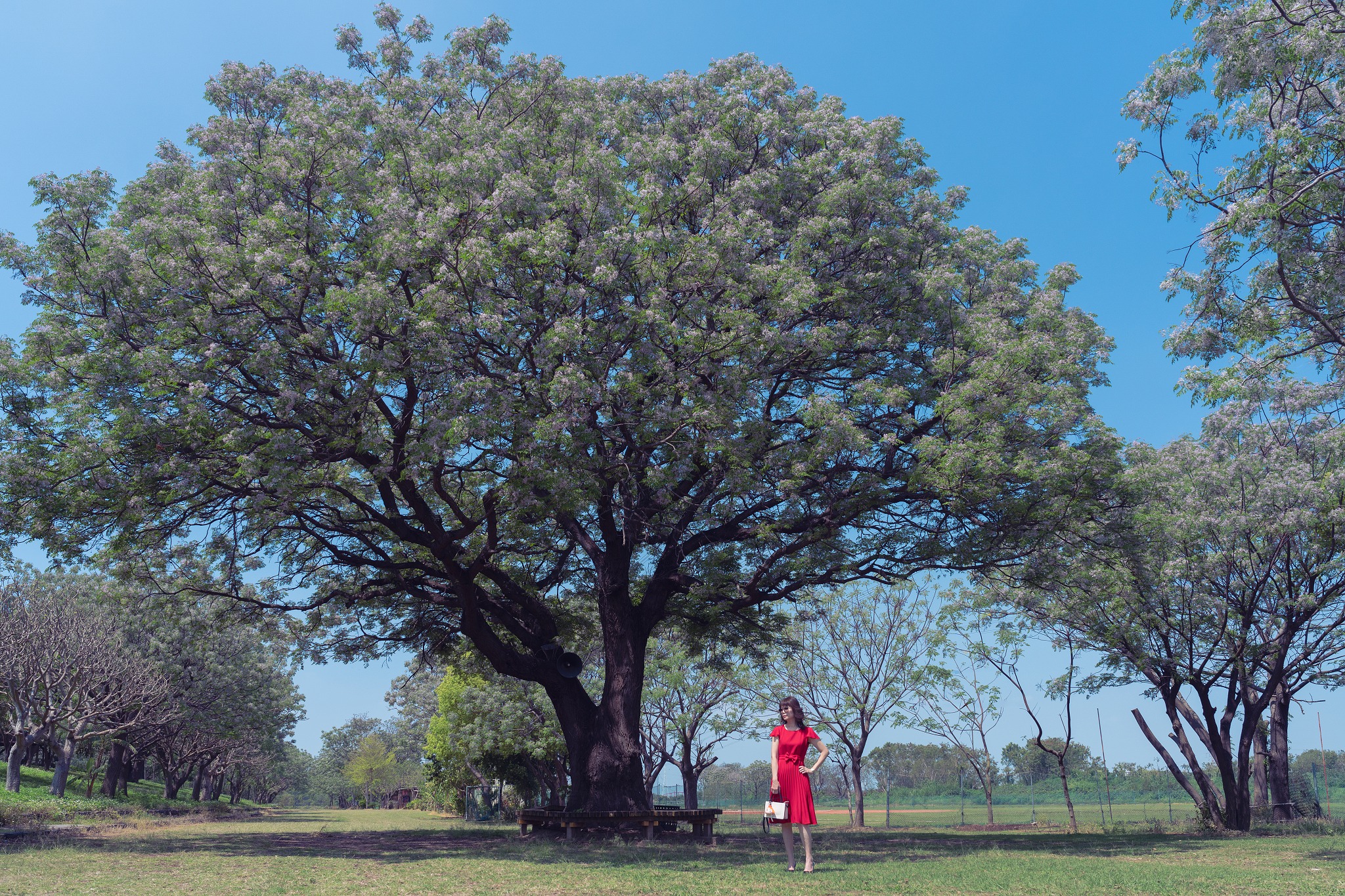 彰化-肚溪棒壘球場